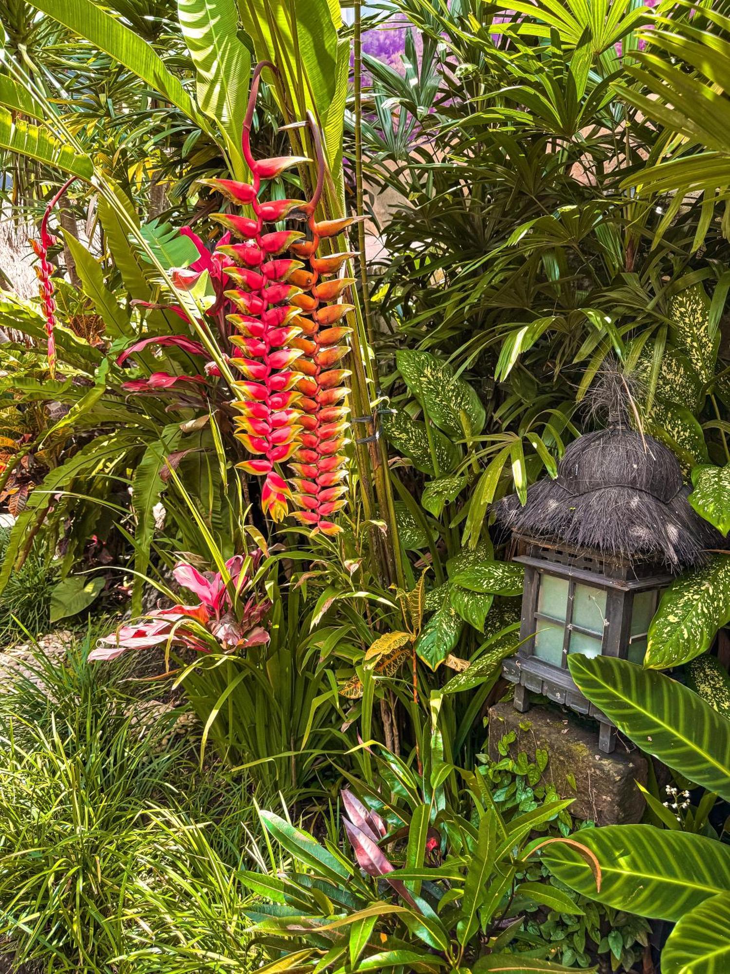 Bali Maison Ubud  Bagian luar foto